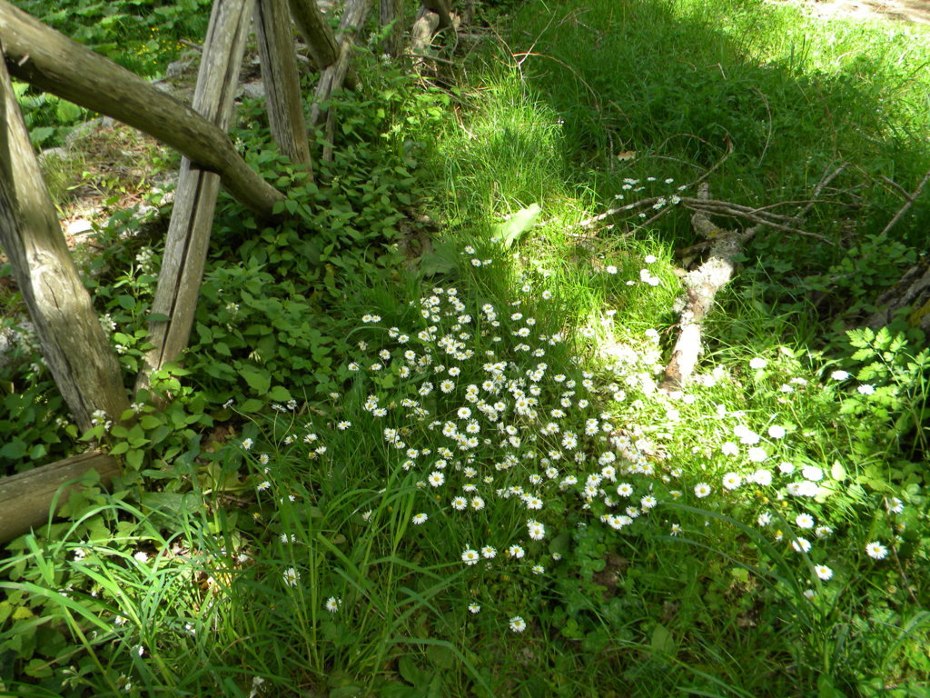 2015-05-06 10.57.50 .jpg